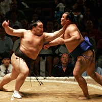 sumo